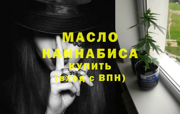 дмт Инсар