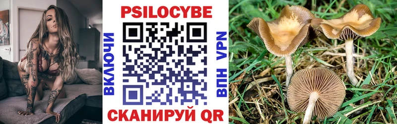 Галлюциногенные грибы Psilocybine cubensis где можно купить наркотик Менделеевск